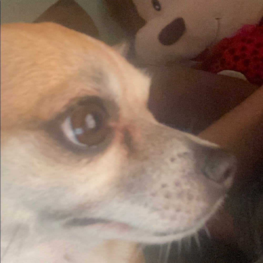 Meet your Posher, Kriss